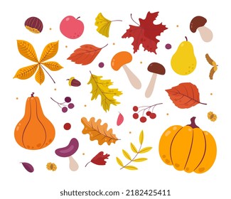 A set of bright colorful autumn leaves, mushrooms, pumpkins, apples and berries. Isolated on a white background. Simple cartoon flat style. Cute vector illustration.