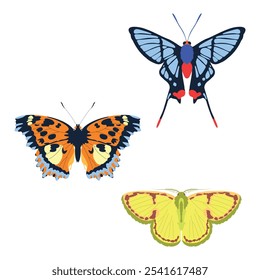 Set of bright, colorful butterflies. Nymphalis xanthomelas, scarce tortoiseshell, Comostola cedilla, Chorinea octauius. Vector illustration.