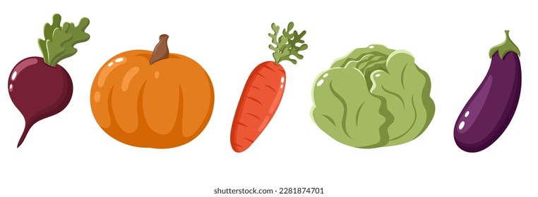 Set of bright colourful vegetables. Gardening and harvesting. Pumpkin, aubergine, carrot, cabbage, beat root. Vector illustration in cartoon style.