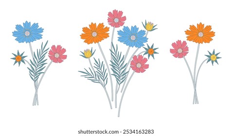 Set of bright cosmea bouquets. Bunches of blooming multicolored wildflowers with leaves, perennial wild plants. Botanical hand-drawn elements for design projects. Vector illustration