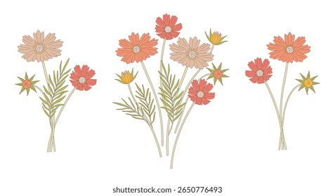 Conjunto de buquês de cosmeia brilhante. Cochos de flores silvestres florescentes com folhas, plantas selvagens perenes. Elementos botânicos desenhados à mão para projetos de design. Ilustração vetorial