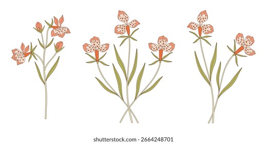 Conjunto de ramos de flores exóticas brillantes. Racimos de flores silvestres rosas en flor, plantas silvestres perennes. Elementos botánicos dibujados a mano para proyectos de diseño. Ilustración vectorial