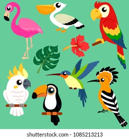 Set of bright exotic tropical birds