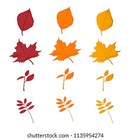 Set of bright fallen leaves from trees isolated on white background. Vector illustration about autumn season.