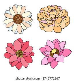 Set of the bright flowers with black outlines. Simple yet elegant vector illustrations.