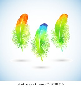Set of Bright Fluffy Watercolor Feathers