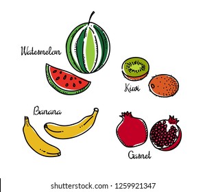 set of bright fruit. vector illustration