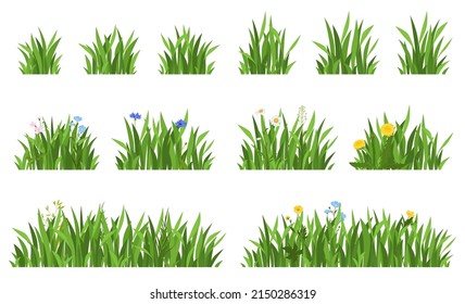 Set of bright grass with flowers. Vector illustration on a white background