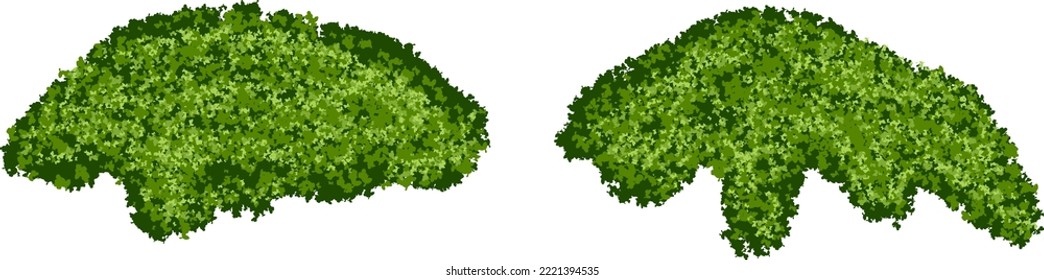 Set bright green moss bushes forest lichen and realistic texture isolated white background  Marsh plants  bog flora  Vector illustration