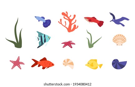Set of bright icons of fish, corals, seashells and sea elements. Summer marine items or for aquarium and pet shop. Vector illustration in flat style