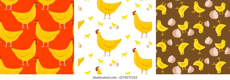 A set of bright patterns with chickens. Vector illustration.