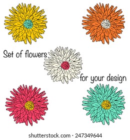 Set of bright peonies, summer colors, design elements, painted decorations