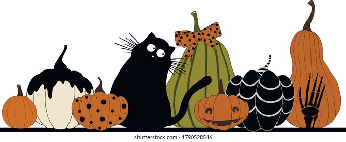 A set of bright pumpkins with a black cat for Halloween. Autumn holiday. Banner for Halloween.