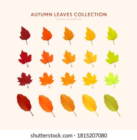 Set of bright realistic autumn leaves. Autumn design element. Cartoon leaf collection in flat style. Vector illustration EPS10