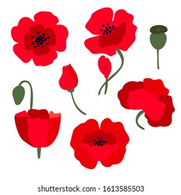 Set of a bright red poppy flower - a symbol of International Day of Remembrance.  Anzac day symbol.  Isolated on white background. Vector illustration.