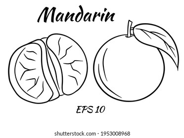 Set of bright tangerines. Whole tangerine and tangerine wedges. Vector illustration isolated on white background. tangerines for design and decoration. Cartoon style.