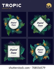 Set of Bright tropical background with jungle plants. Exotic pattern with tropical leaves. Vector illustration
