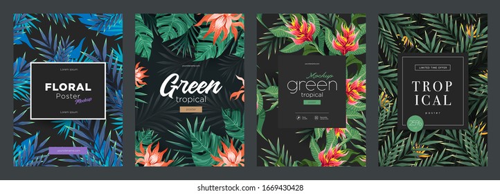 Conjunto de fondo tropical brillante con plantas de selva. Modalidades exóticas con hojas tropicales. Ilustración vectorial