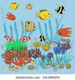 Set of bright tropical fish and corals. The inhabitants of the Red Sea.Sketch. Freehand drawing.
