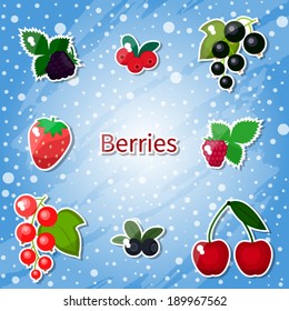 Set of bright vector berries on colorful background