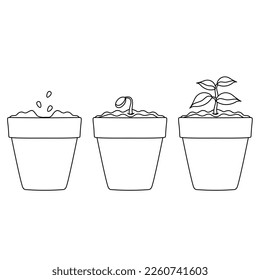 a set of bright vector illustrations of a pot with seedlings, planting plants, indoor plants and a vegetable garden, doodle and sketch 
