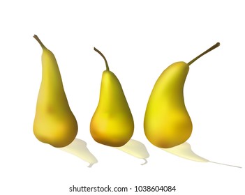 Set of bright yellow pears. Ripe fruit. Vector illustration. Dietary food.