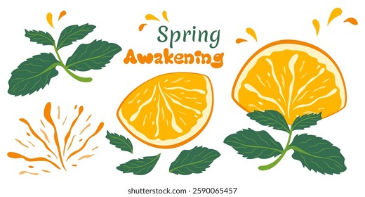 Set of brightly colored isolated elements juicy citrus and mint in flat style. Orange energizer for health, nutrition, weight loss. Spring Awakening Imprint. Orange and green color