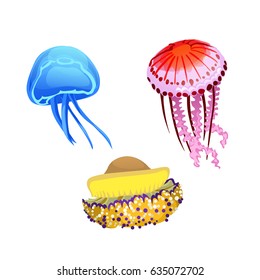 A set of brightly colored jellyfish isolated on white background. Colorful inhabitants of the seas and oceans. Vector cartoon close-up illustration.
