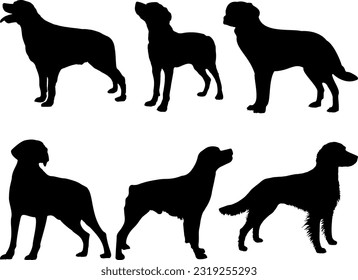 Set of Brittany Dog Silhouette Vector Art