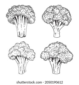 set of Broccoli icon, line isolated or logo isolated sign symbol vector, outline and stroke style Collection of high-quality vector illustration,