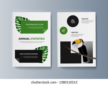 Set of brochures about Toucan bird and tropical flora. Vector illustration