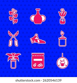Set Broken pot, Pack full of seeds of plant, Plant in hanging, Sprout bottle, Exotic tropical, Gardening handmade scissors, Flower glass and Ivy branch icon. Vector