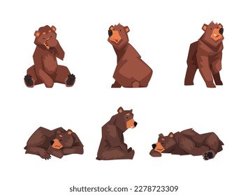 Set of brown bear in different poses. Wild forest sitting, standing and sleeping mammal animal cartoon vector illustration