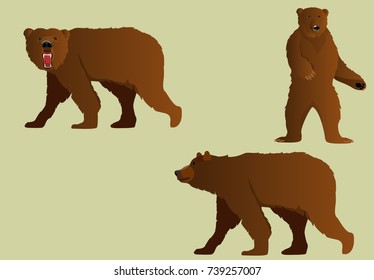 Set of brown bear figures in different poses, vector.