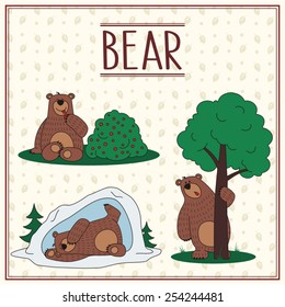 Set of brown bear in forest. 
