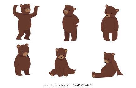 Set of brown bears in everyday life situations. Vector illustration in flat cartoon style.