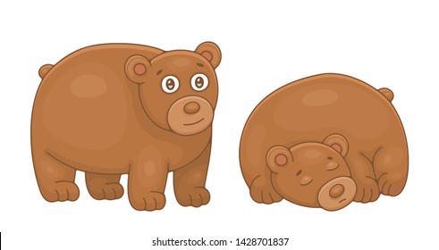 Set of Brown Bears. isolated on white background