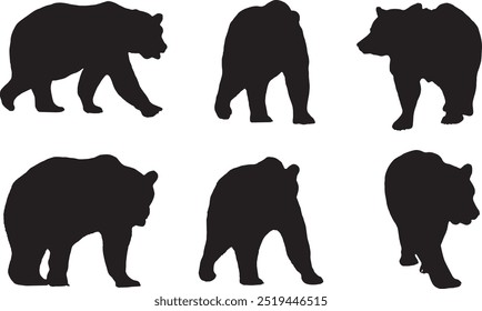 Conjunto de silueta de Vector de osos marrones aislados sobre fondo blanco. Collage de un peligroso oso depredador. Anuncio. Copiar espacio.