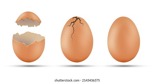 Set of brown chicken eggs. Broken egg with cracks on the shell.
Template isolated on a white background. stock vector.