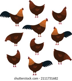 Set of brown chicken and roosters