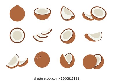 Set of brown coconut, Farm fresh coconut product emblem for grocery shop, Slides, long and cross sections, and different positions, simple flat vector illustration of vegetables and fruits.