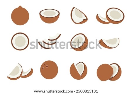 Set of brown coconut, Farm fresh coconut product emblem for grocery shop, Slides, long and cross sections, and different positions, simple flat vector illustration of vegetables and fruits.