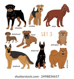 Set of brown dogs of various breeds authors work