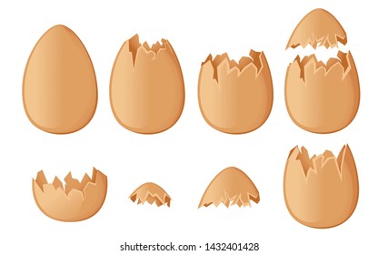 Set of brown egg shells whole and cracked or broken shells flat vector illustration isolated on white background