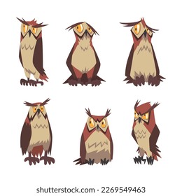 Set of brown emotional owls with funny face expression cartoon vector illustration