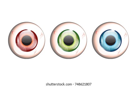 Set of brown, green, and blue eye balls. Vector illustration.