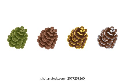 Set of brown and green cones of coniferous pine, spruce or cedar in gold sequins, with silver paint. Festive decoration for New Year, Christmas and design. Vector flat illustration