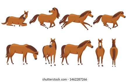 Set of brown horse wild or domestic animal cartoon design flat vector illustration isolated on white background