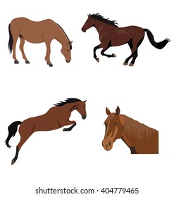 Set of brown horses, isolated vector