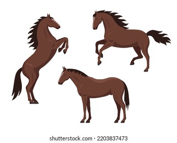 Set of brown horses. Vector illustration set cartoon beautiful horses in different poses isolated on white. Side view, flat design.